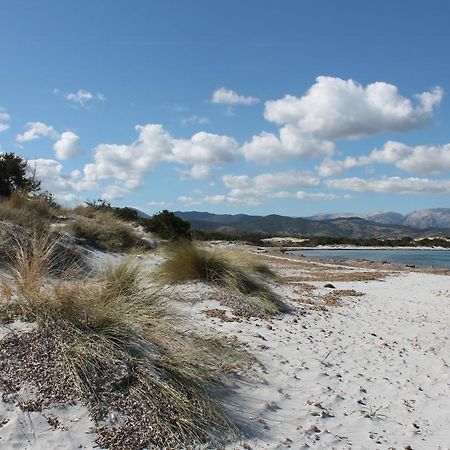 Vista Sul Mare E Tavolara Budoniaffitti بورتو سان باولو المظهر الخارجي الصورة