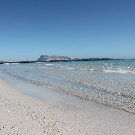 Vista Sul Mare E Tavolara Budoniaffitti بورتو سان باولو المظهر الخارجي الصورة