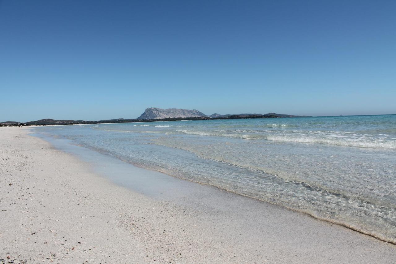 Vista Sul Mare E Tavolara Budoniaffitti بورتو سان باولو المظهر الخارجي الصورة